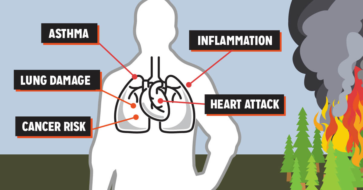 Wildfire Smoke Health Effects and Dangers
